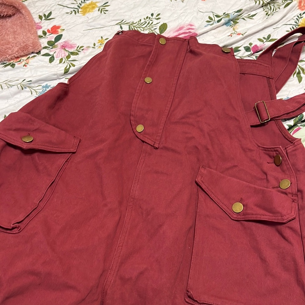 Brand NWOT CIDER overalls!